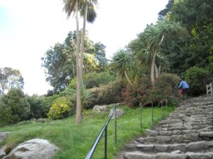 Gardens at St Michael's Mount