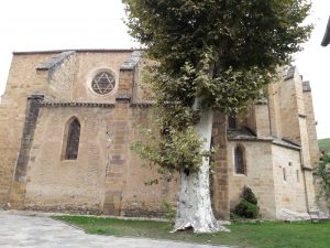 Outside showing the hexagonal  windows