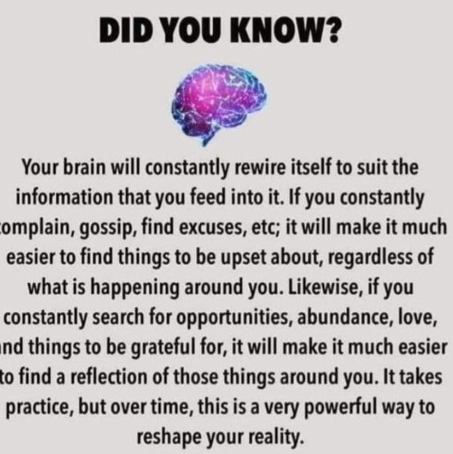your brain constantly rewires