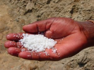 salt in hand